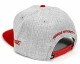 Tuskegee University Cap Snapback TU