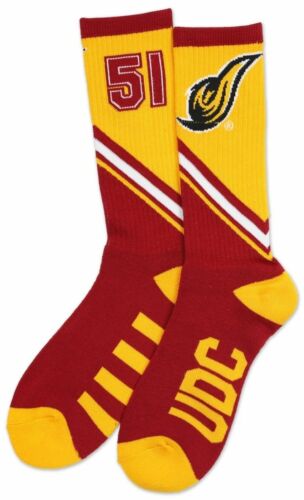University of the District of Columbia Socks Firebirds