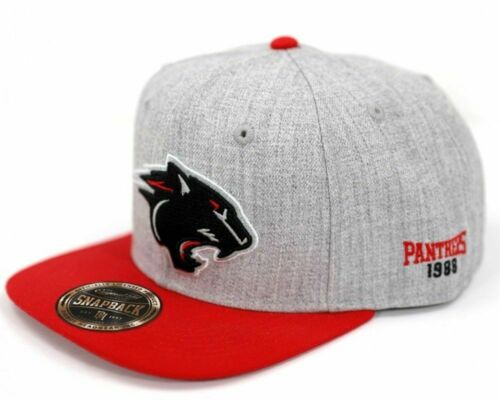 Clark Atlanta University Cap Snapback CAU