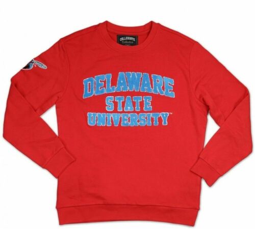 Delaware State University Sweatshirt