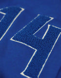 Phi Beta Sigma M6 Pullover Hoodie