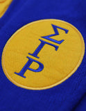 Sigma Gamma Rho M7 Button Down Sweater