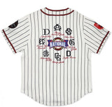 NLBM Negro Leagues Centennial Commemorative Heritage Jersey