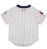 NLBM Negro Leagues Centennial Heritage Jersey Detroit Stars