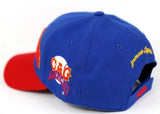 NLBM Negro Leagues Legacy M45 Legends Cap Chicago American Giants