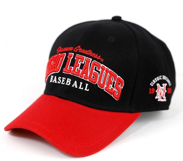 NLBM Negro Leagues Legacy M45 Legends Cap